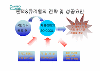 [마케팅] 팬택&큐리텔 마케팅분석-14