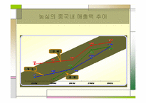[국제마케팅] 농심 신라면의 중국시장진출전략-18