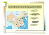 [국제마케팅] 농심 신라면의 중국시장진출전략-19