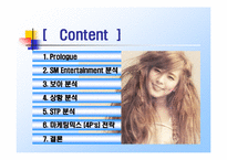 [마케팅전략] 보아(BoA)를 통한 마케팅전략분석- 아시아시장으로-2