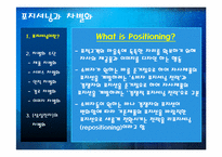 [마케팅원론] 포지셔닝과 차별화-2