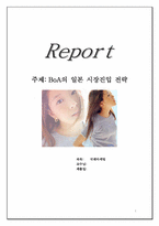 [국제마케팅] BoA(보아)의 일본시장진입전략-1