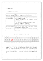 [국제마케팅] BoA(보아)의 일본시장진입전략-12