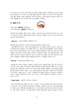 [광고론] 맥도날드의 마케팅전략에 대한 분석-5