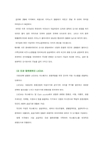 [관광산업] 제주도의 관광클러스터-18
