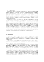 [국제마케팅] 태평양 `로리타렘피카` 해외마케팅-6