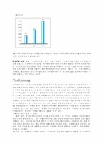 [마케팅성공사례] 온라인게임전문업체 ‘넥슨’ 성공사례분석- 카트라이더사례-14