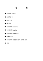 [마케팅전략] 아이리버(iriver)의 마케팅성공전략-2