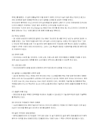 [마케팅전략] 아이리버(iriver)의 마케팅성공전략-5