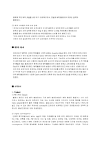 [마케팅전략] 아이리버(iriver)의 마케팅성공전략-8