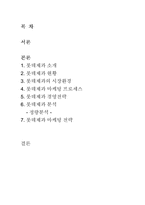 [마케팅전략] 롯데제과 정량분석-2