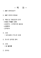 [마케팅전략] SWOT분석에 의한 전략수립-2
