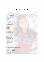 [엔터테인먼트마케팅] 보아 마케팅전략-2