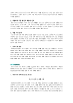 [엔터테인먼트마케팅] 보아 마케팅전략-16