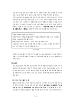 [마케팅전략] 신제품 석류음료개발(석류화) 마케팅보고서-17