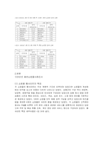 인터넷패션쇼핑몰의 마케팅전략-4