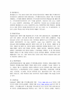 인터넷패션쇼핑몰의 마케팅전략-6
