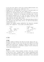 인터넷패션쇼핑몰의 마케팅전략-9