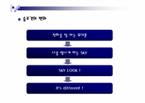 SK텔레텍 SKY(스카이)의 브랜드마케팅포지셔닝-16