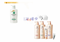 [마케팅] 신제품샴푸 프리미엄샴푸시장 진출 전략-5