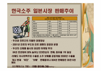 [국제마케팅] 안동소주의 일본시장진출-5
