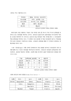 [국제마케팅] 로만손시계 자사 브랜드 수출 전략-6
