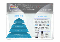 HERA HOMME 헤라옴므 swot분석-10