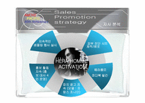 HERA HOMME 헤라옴므 swot분석-15