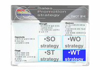 HERA HOMME 헤라옴므 swot분석-16