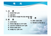 [마케팅] `THE HITE` 하이트 마케팅전략-2
