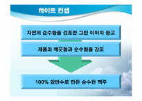 [마케팅] `THE HITE` 하이트 마케팅전략-14