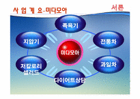 [마케팅] 웰빙카페 사업계획서-4