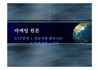 [마케팅] STP 성공사례와 실패사례 분석-1
