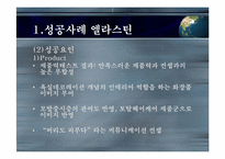 [마케팅] STP 성공사례와 실패사례 분석-7