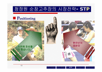 [마케팅] 고추장 시장의 마케팅전략-11