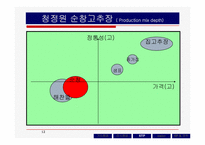 [마케팅] 고추장 시장의 마케팅전략-12