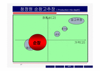 [마케팅] 고추장 시장의 마케팅전략-17