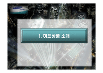 [히트상품 사례조사] 타워팰리스-3