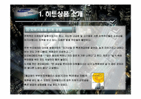 [히트상품 사례조사] 타워팰리스-6