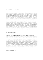 코카콜라의 국제경영사례-13