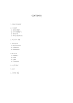 [마케팅] 싸이월드의 마케팅사례-2