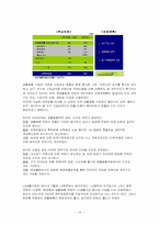 [마케팅] 프리미엄샴푸 `엘라스틴과 팬틴` 마케팅분석-16