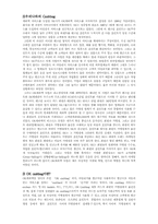 ok cashbag의 마케팅 전략-4