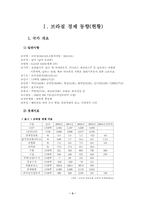 [경제학]한국과 브라질의 경제무역-3