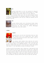 세계각국의 전통의상-3