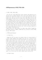 세계화(globalization),국제화,지역화,지방화-2