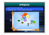 [전략경영] 레져산업 `휘닉스파크` 중장기전략-8
