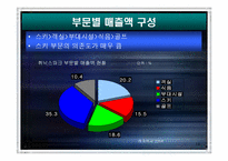 [전략경영] 레져산업 `휘닉스파크` 중장기전략-14