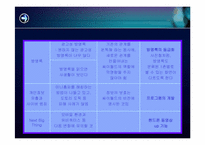 [인터넷비즈니스] 싸이월드의 기업사례-11