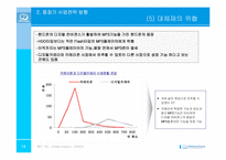 [전략경영] 레인콤 경영전략-14